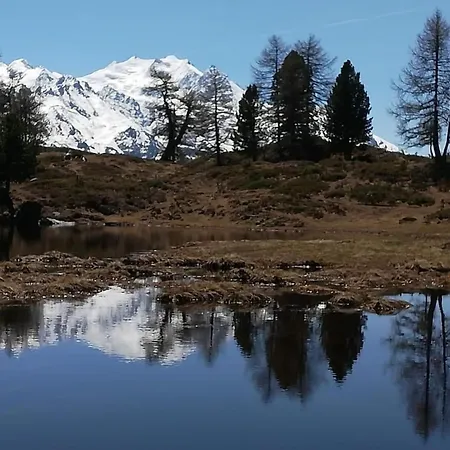 Moosalpe A By Interhome Lägenhet Bürchen