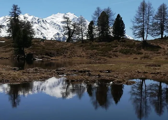 Moosalpe A By Interhome Apartment Burchen